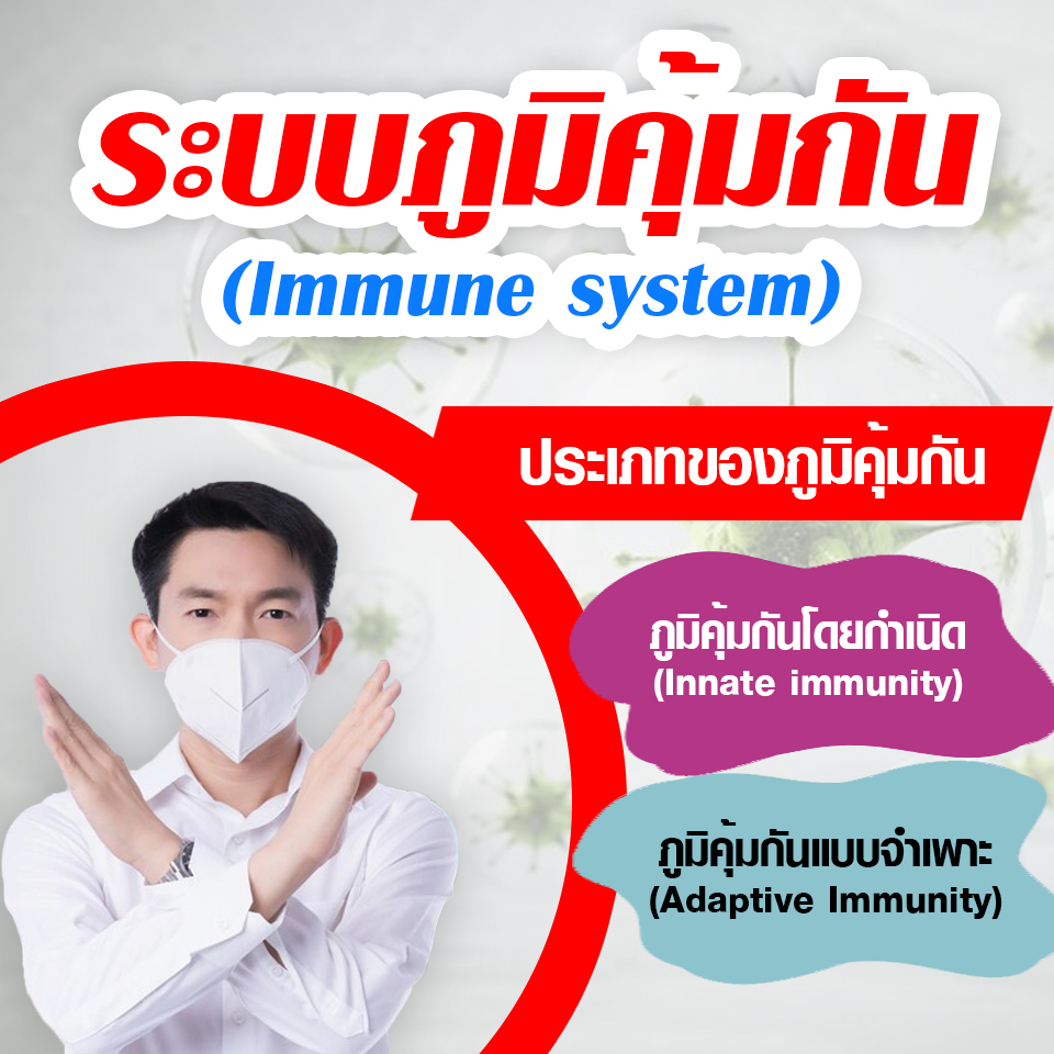 ความรู้ ของระบบภูมิคุ้มกัน